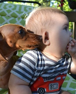 Dog and Baby